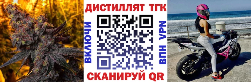 ТГК Wax Магадан