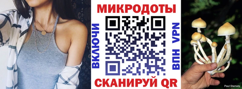 сколько стоит  Магадан  Псилоцибиновые грибы GOLDEN TEACHER 