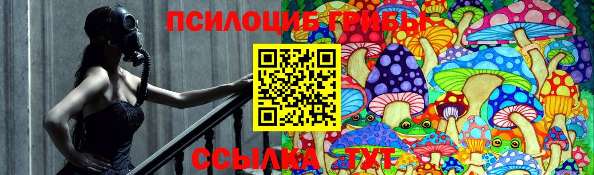 как найти наркотики  Вход с VPN  Магадан  Псилоцибиновые грибы Magic Shrooms 