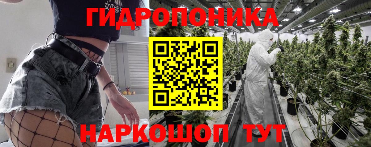 Шишки марихуана AK-47  Вход с VPN  Конопля ГИДРОПОН  Магадан  Каннабис план 
